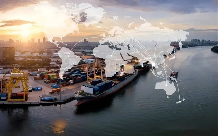 1764230872737436.jpg 2.jpg